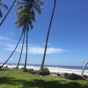 Meet your Posher, Mia